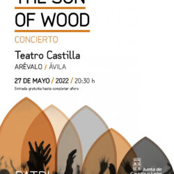 Concierto del grupo the son of wood