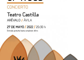 Concierto del grupo the son of wood