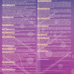 PROGRAMACION NAVIDEÑA DE AREVALO