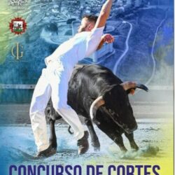 Concurso Recortes