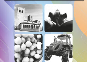 feria de muestras Arévalo 2022