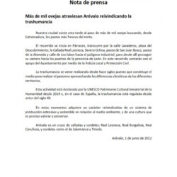 mas-de-mil-ovejas-atraviesan-Arévalo