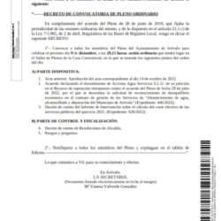 pleno ordinario diciembre 2022